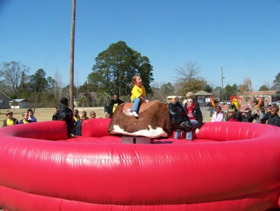 Mechanical Bull