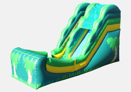 16' Wild Wave Slide